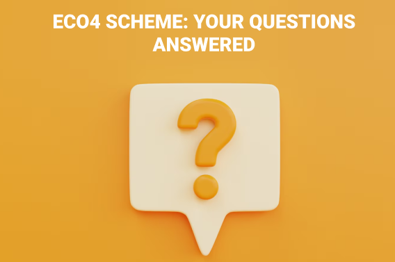 ECO4 Scheme: Your Questions Answered